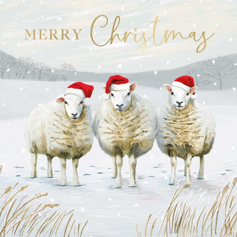 Three Sheep