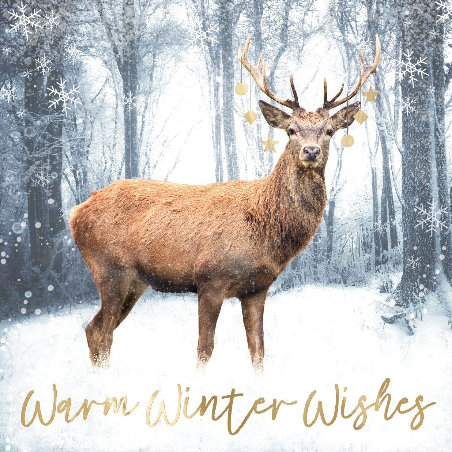 Winter Wishes