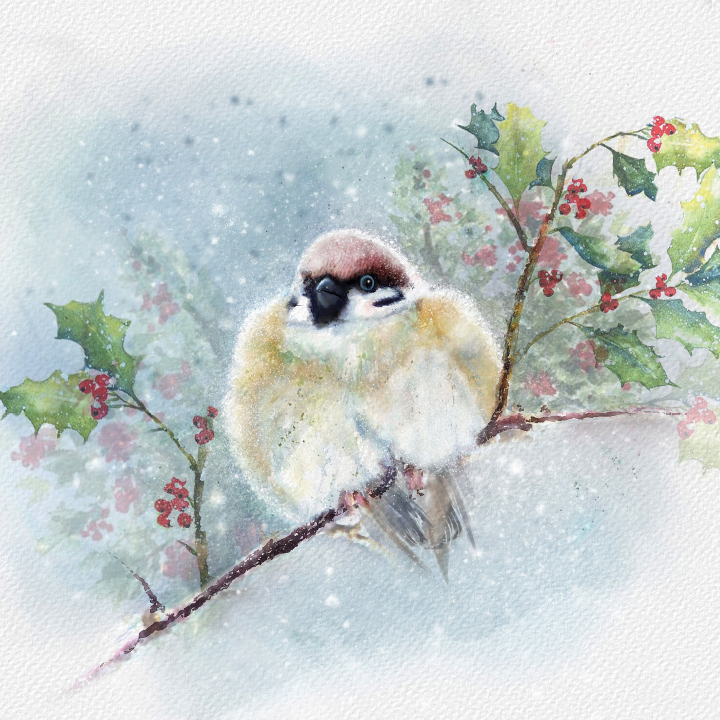 Holly the Bird