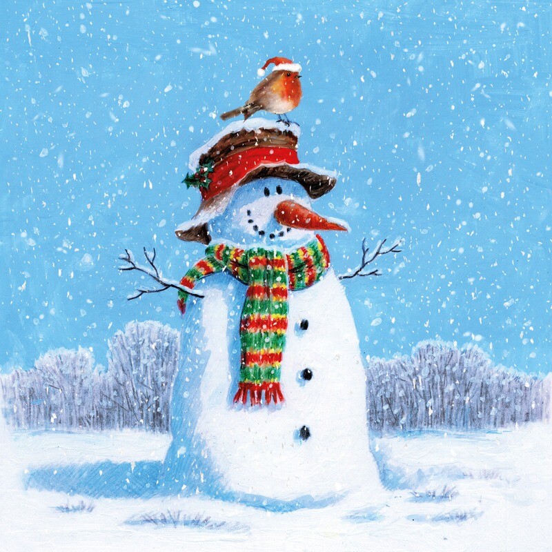 Snowman and Robin