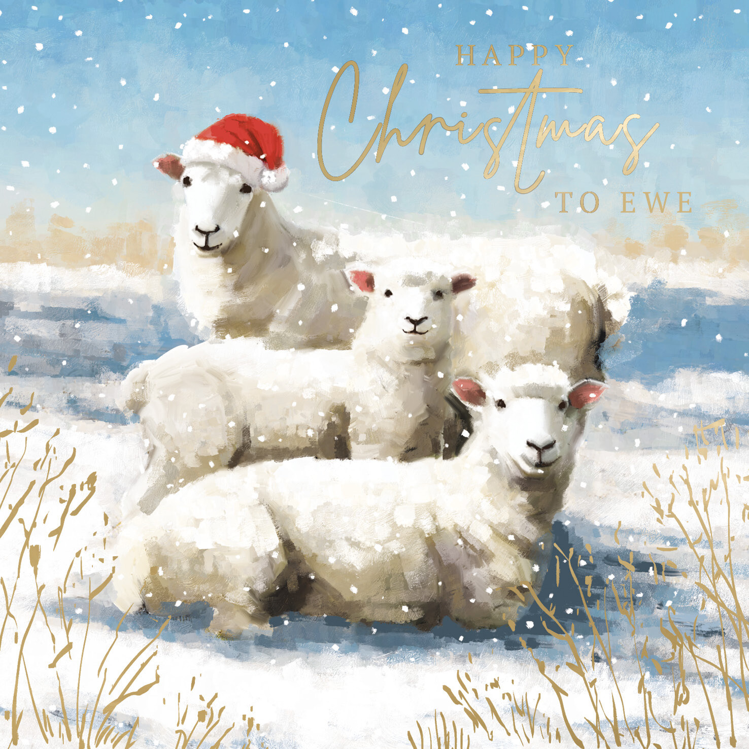 Sheep Family
