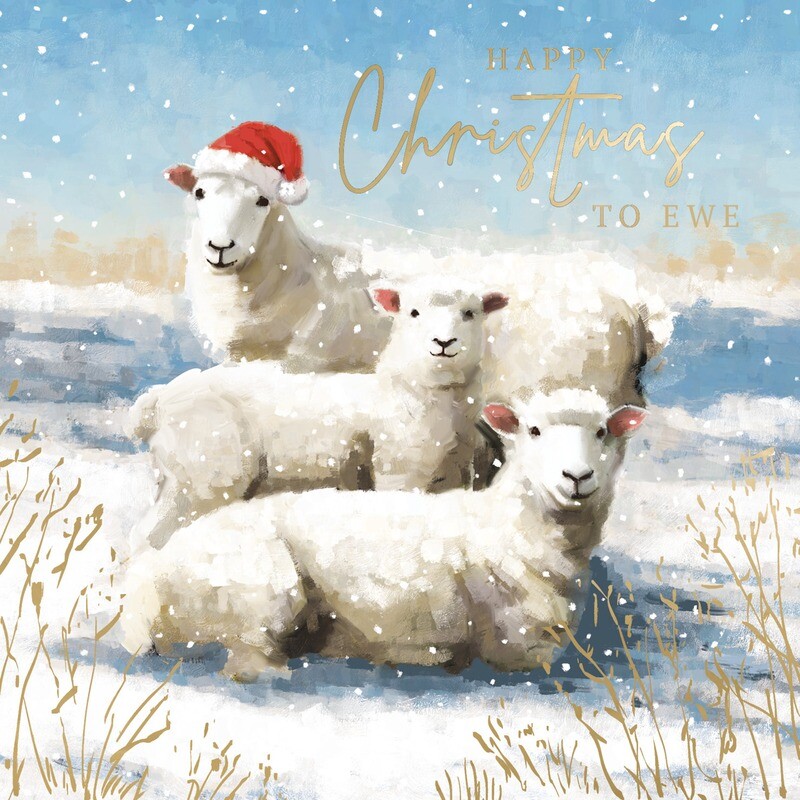 Sheep Family