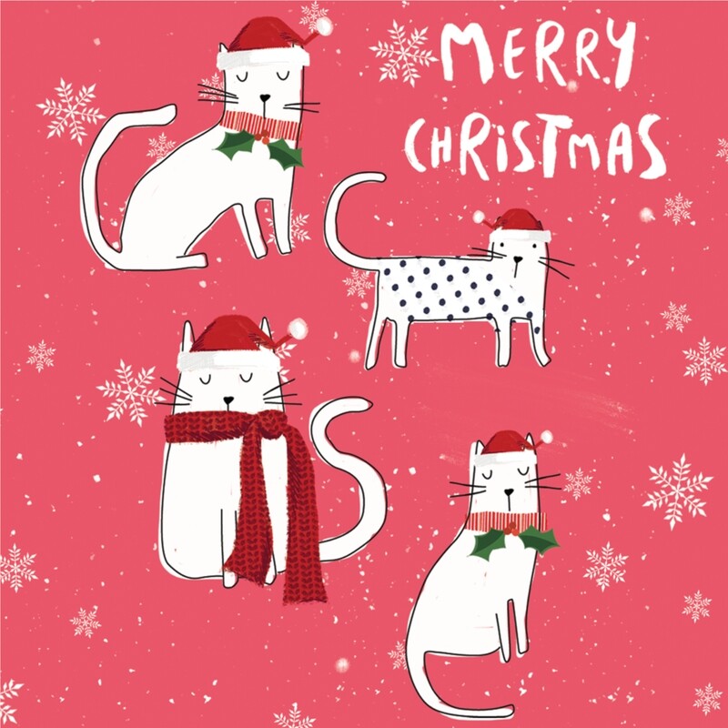 Christmas Cats