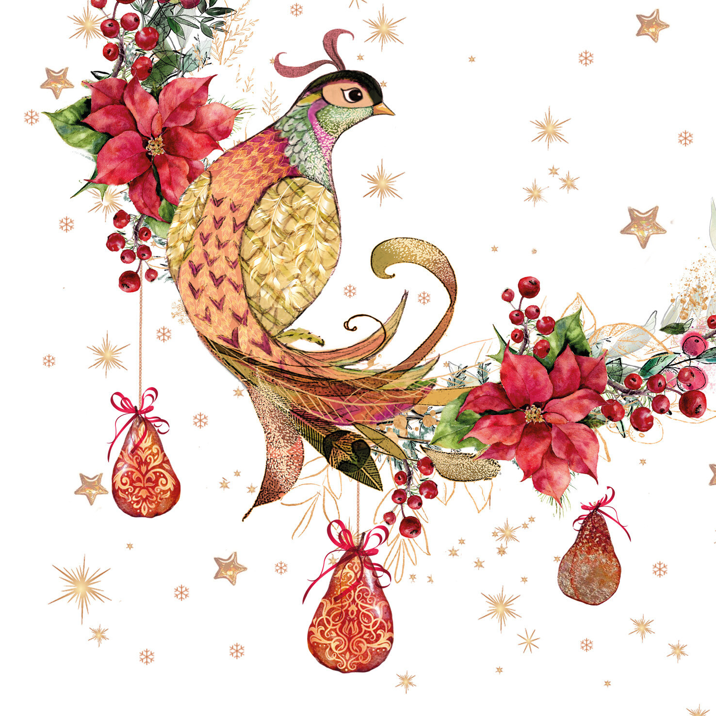 Poinsettia Partridge