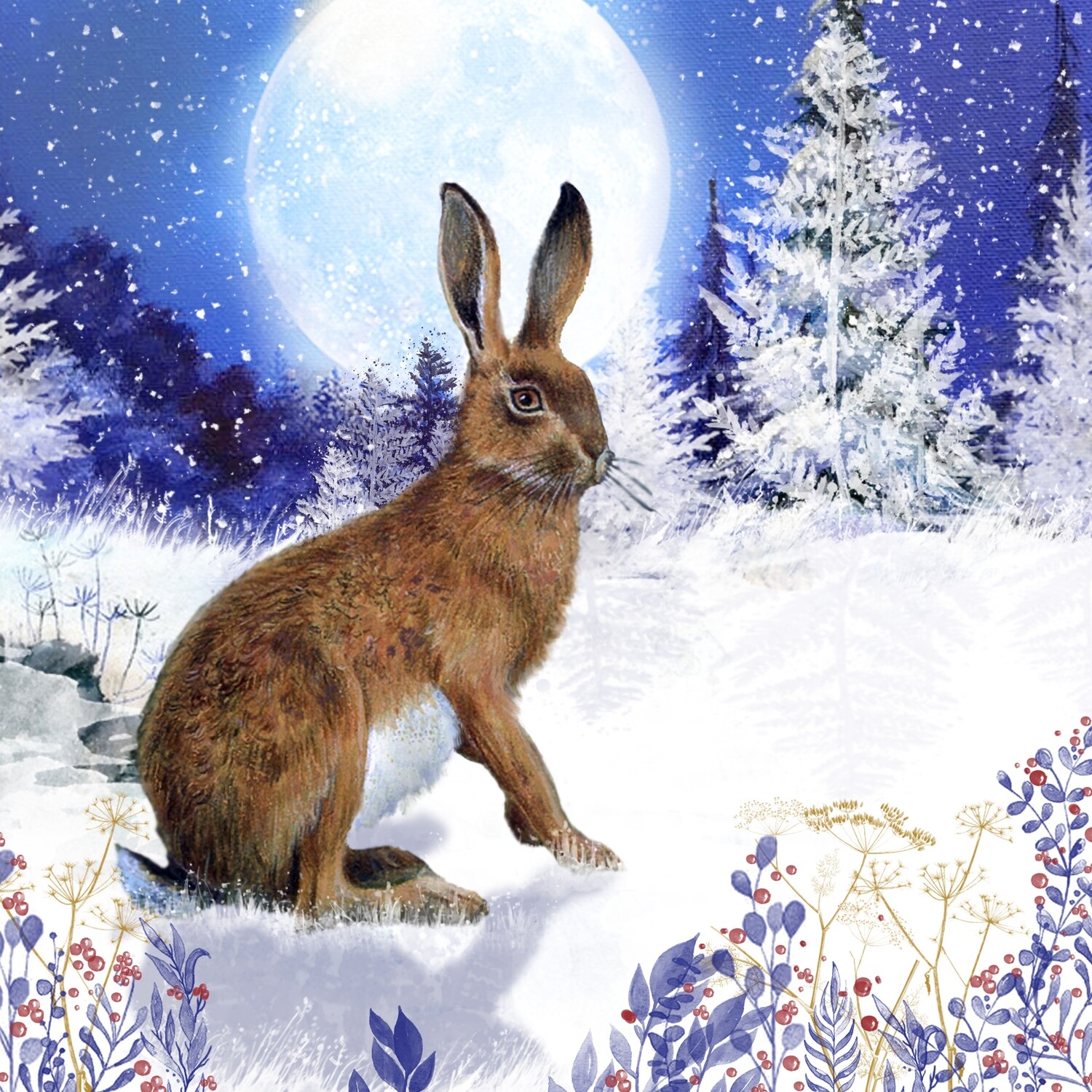 Midnight Hare