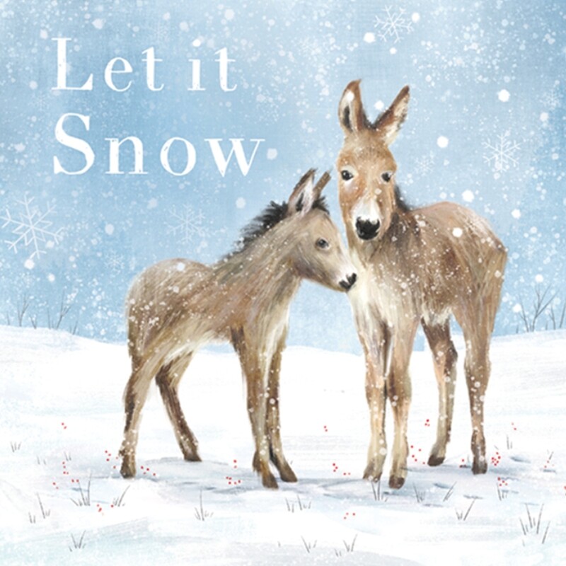 Snow Donkeys