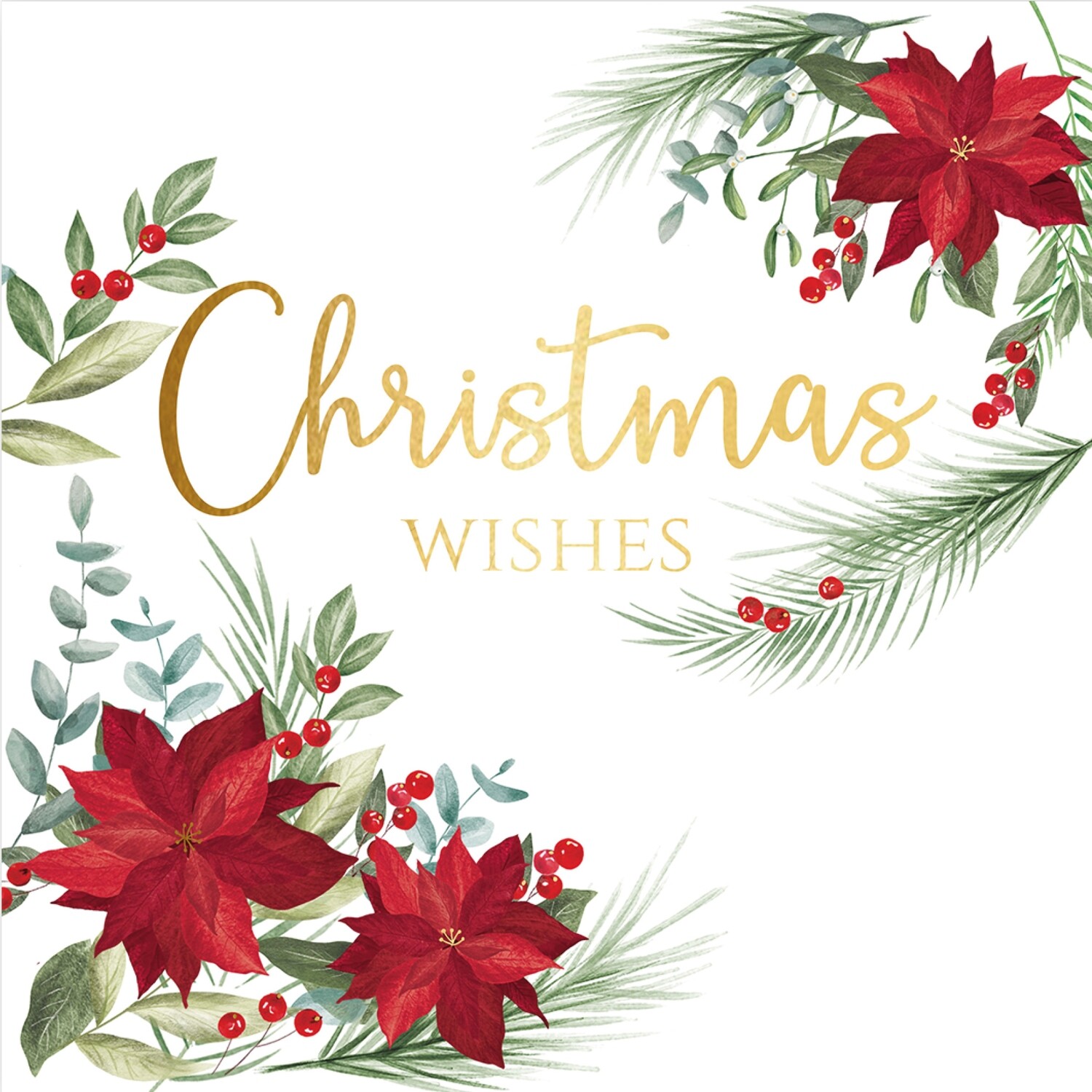 Poinsettia Wishes