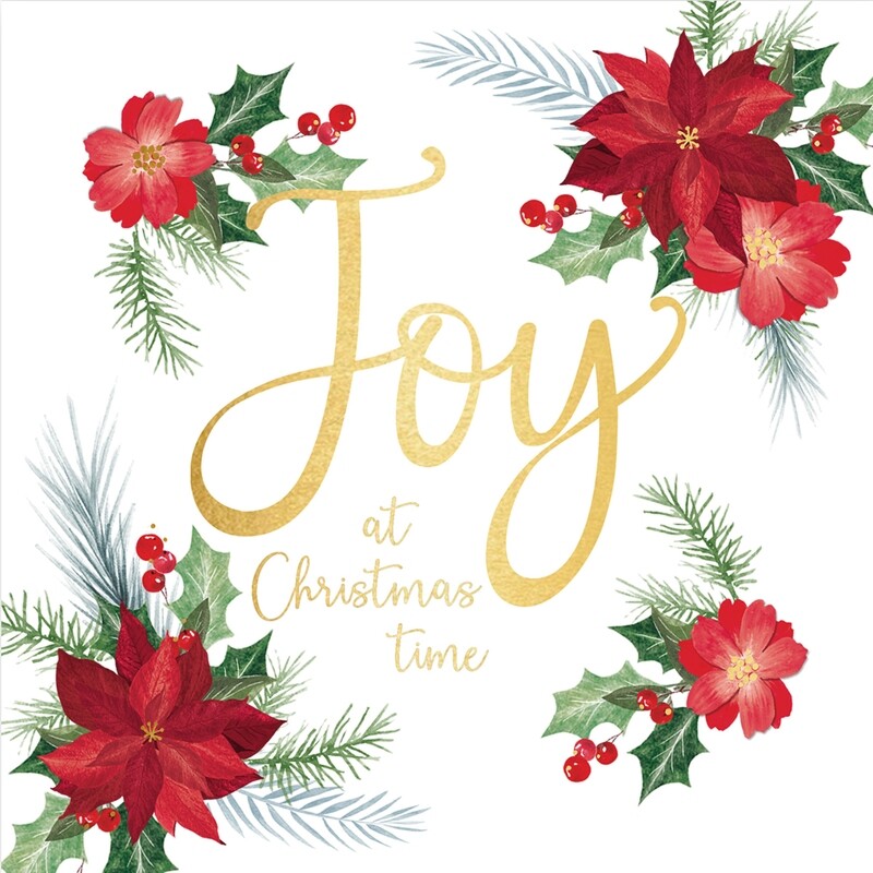Poinsettia Joy
