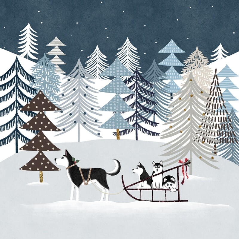 Husky Sleigh