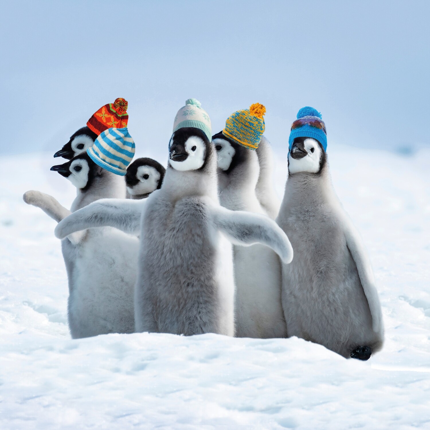 Penguin Bobbles