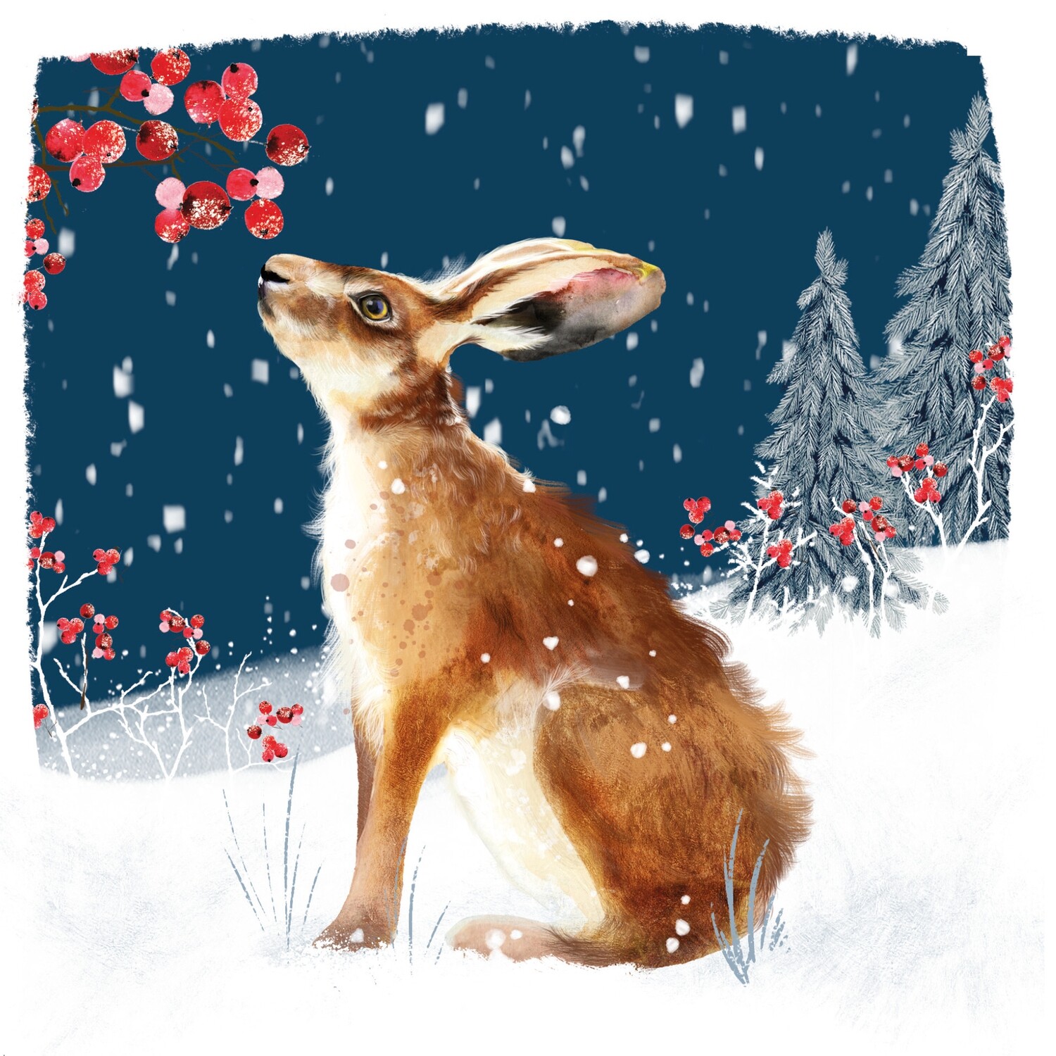 Hare Berry