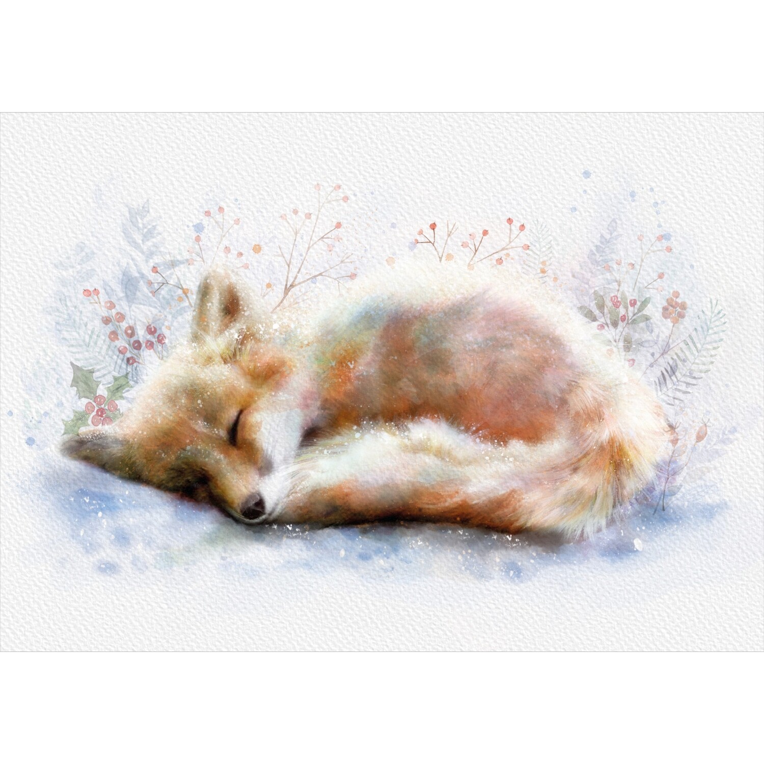 Fox Nap