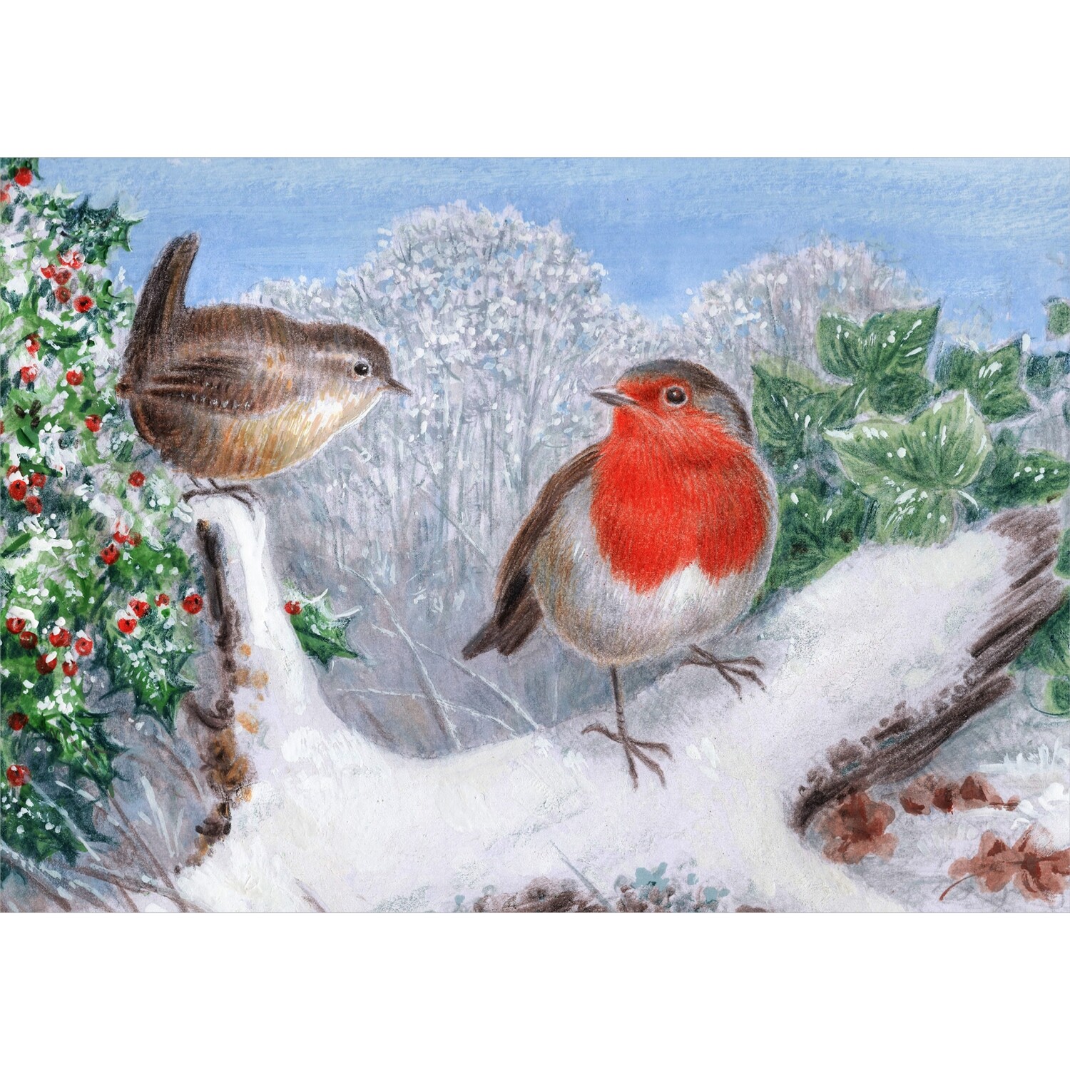 Robin and Friend