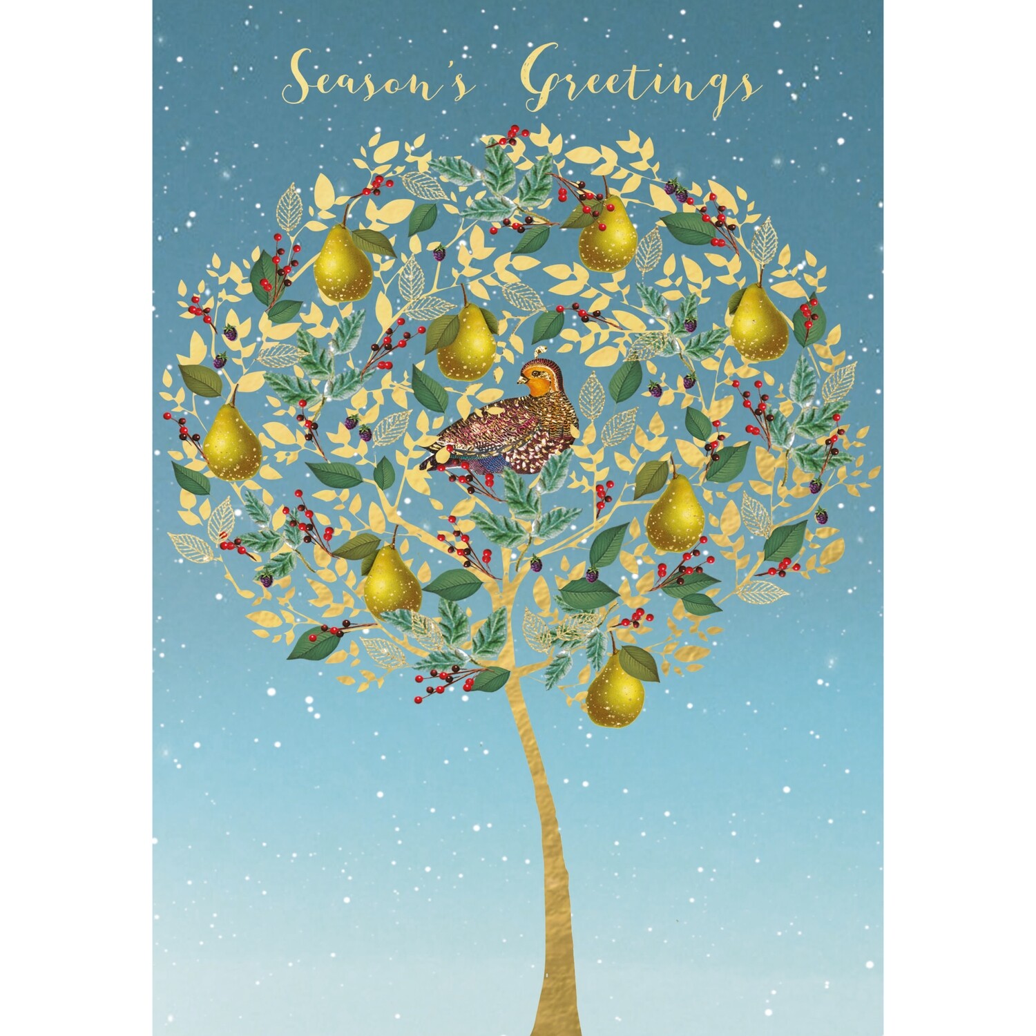 Partridge in a Pear Tree