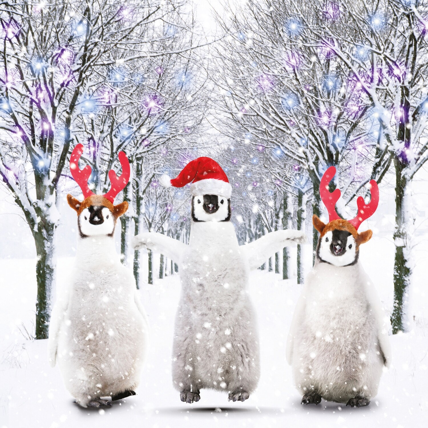 Penguin Trio