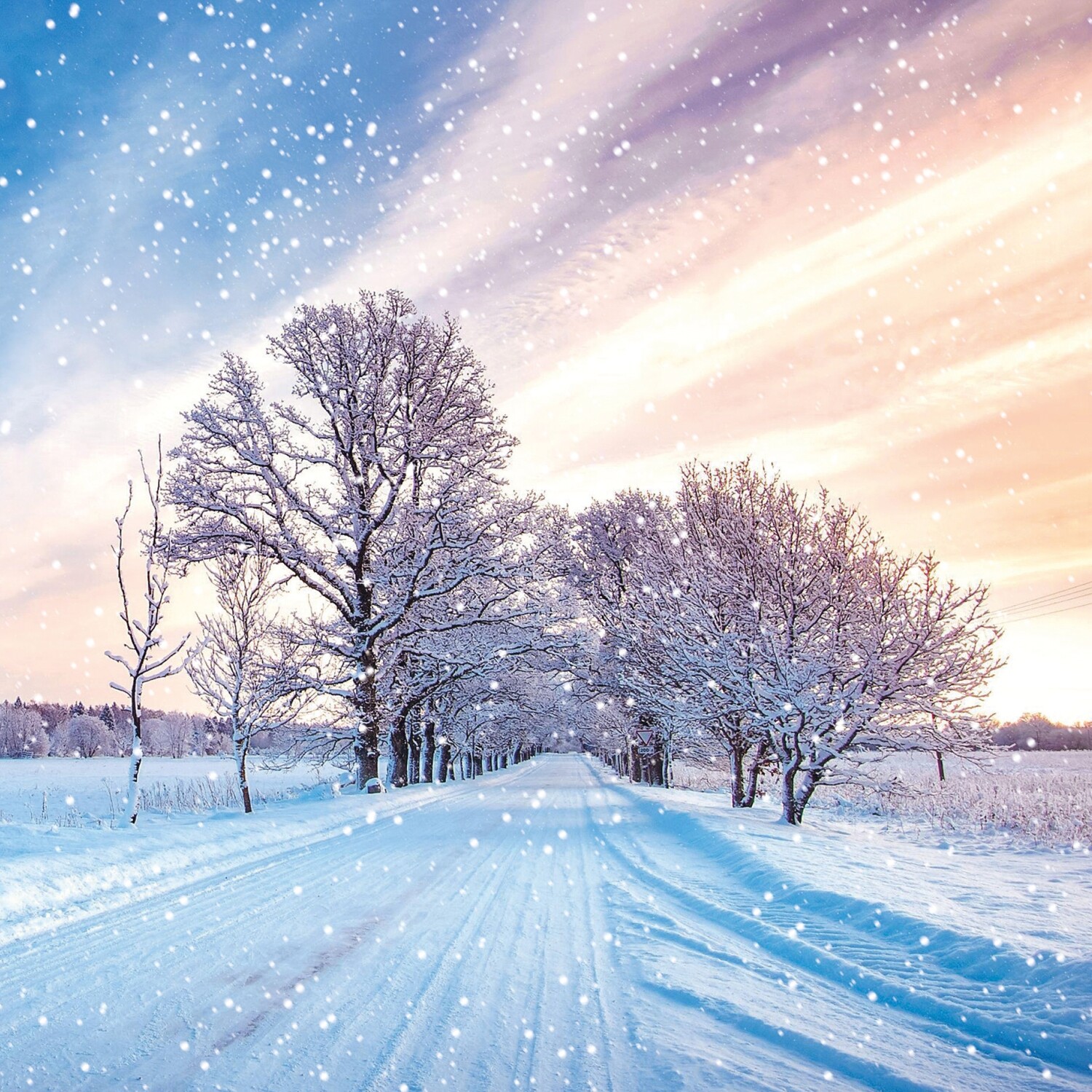 Snow Avenue