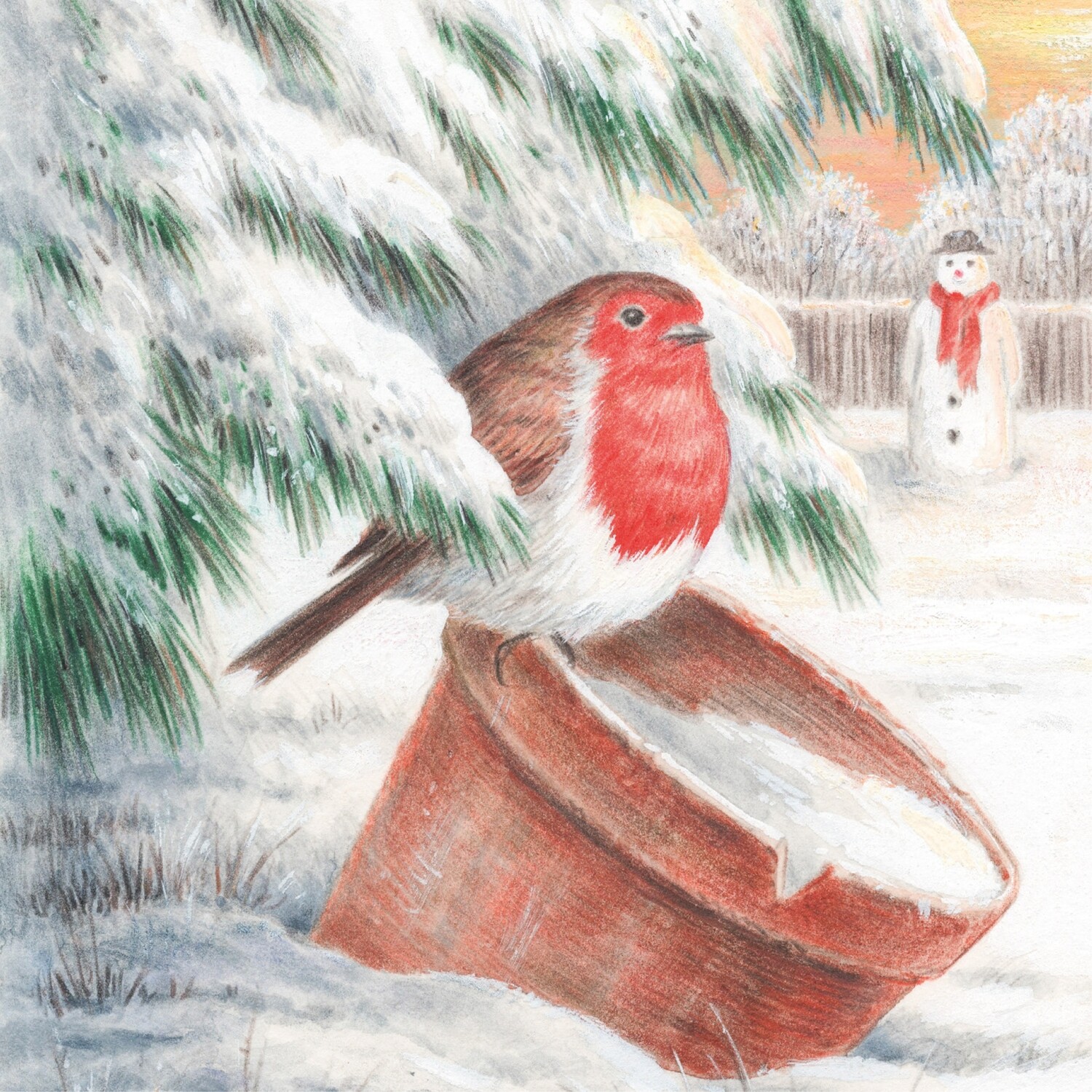 Potty Robin