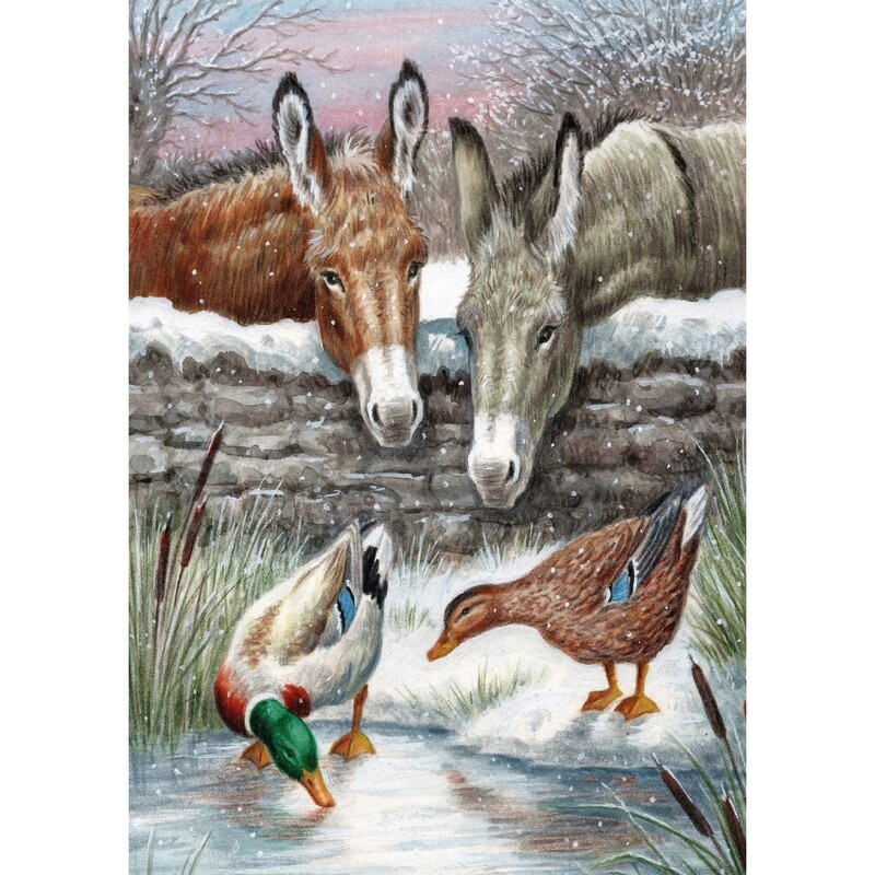 Pond Friends