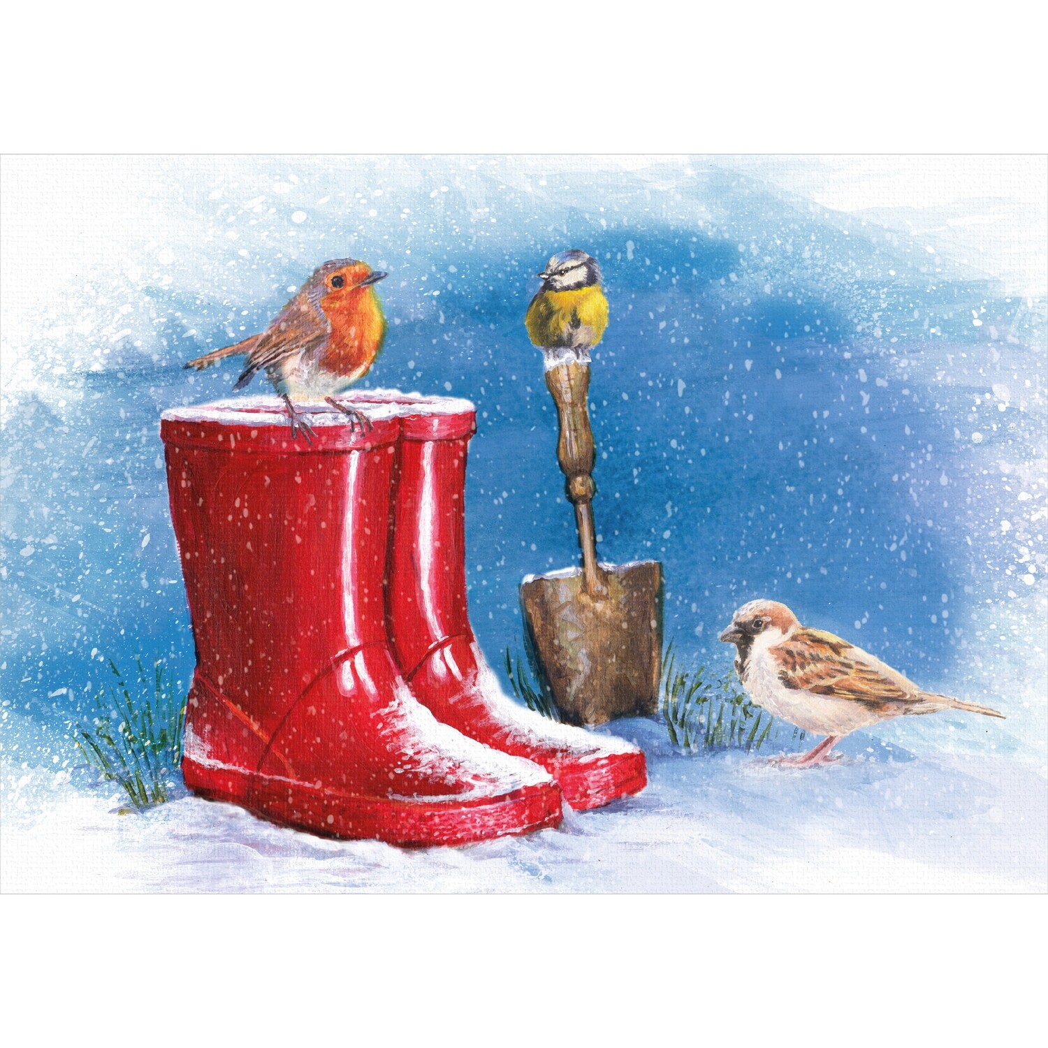 Robin Red Welly