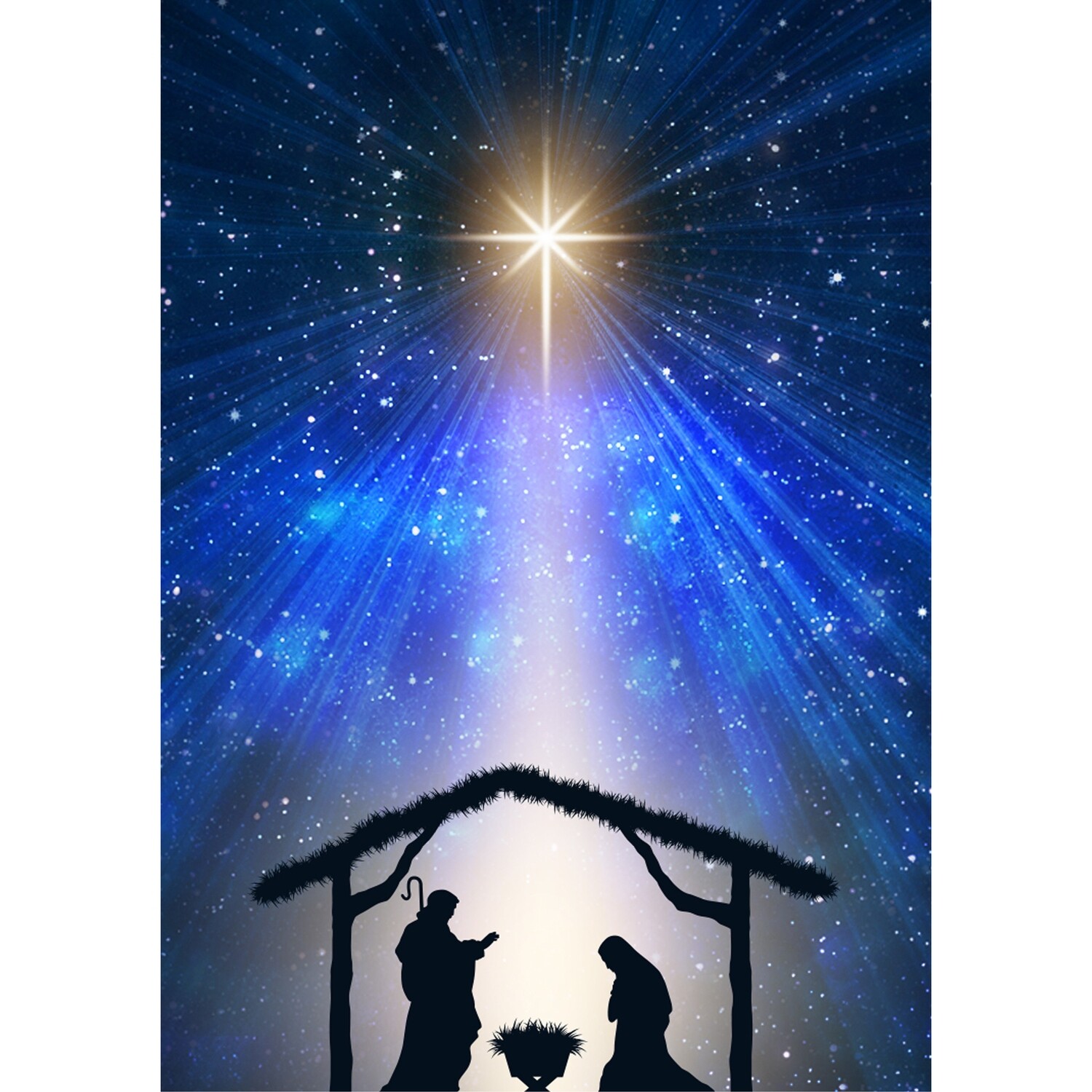 Heavenly Nativity