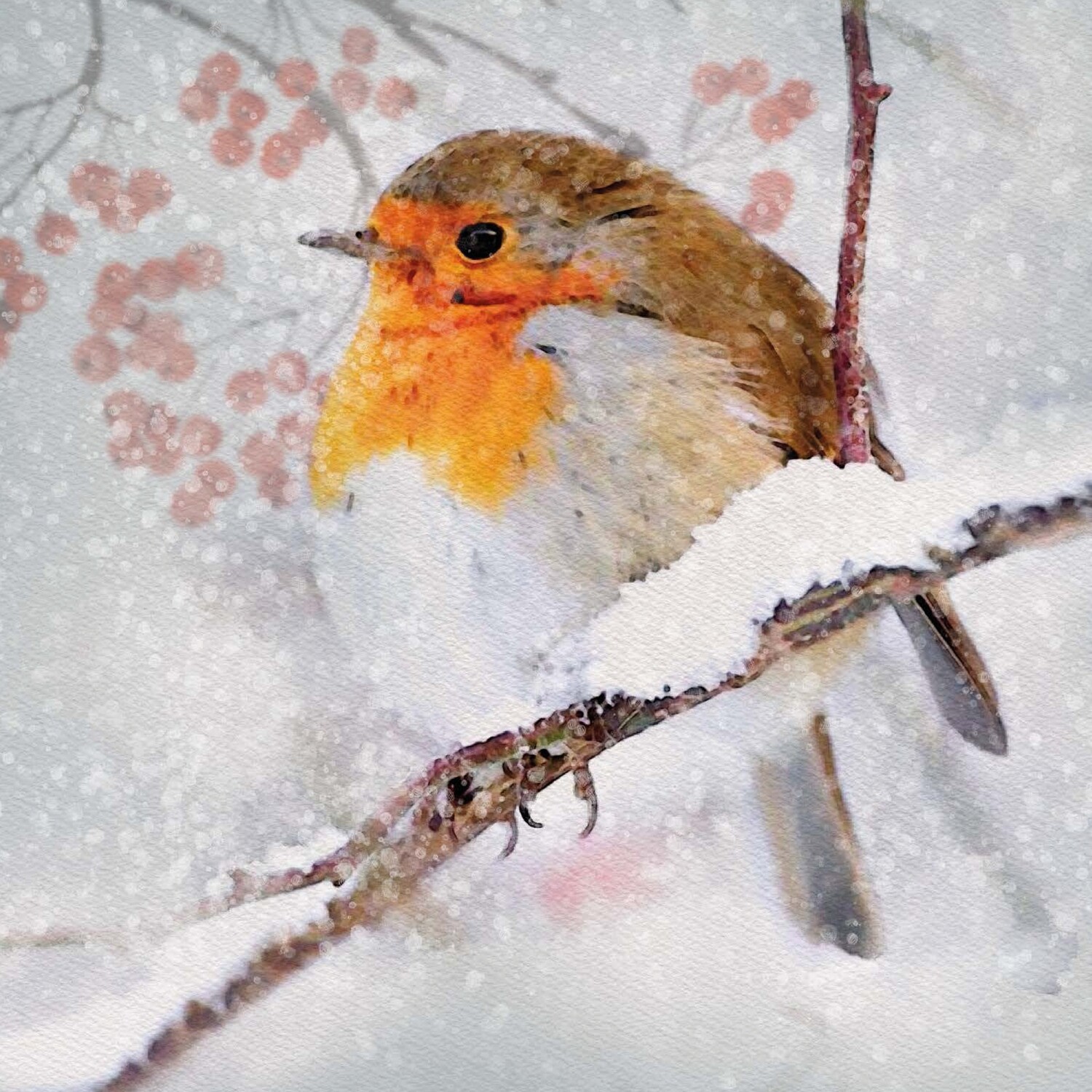 Pastel Berry Robin