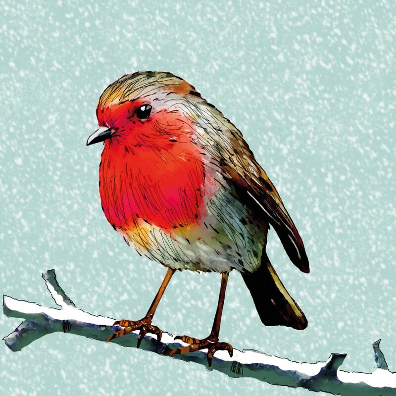Robin Today