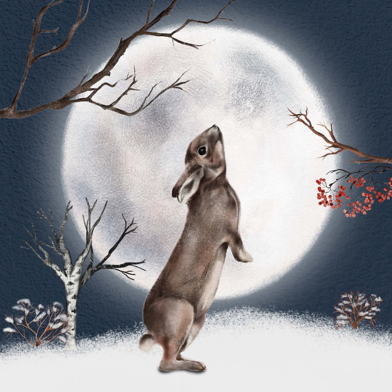 Full Moon