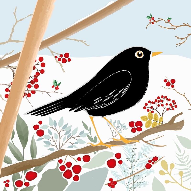 Blackbird