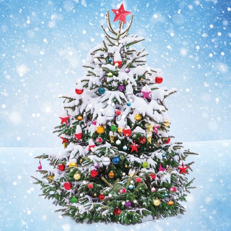 Christmas Tree Adorned