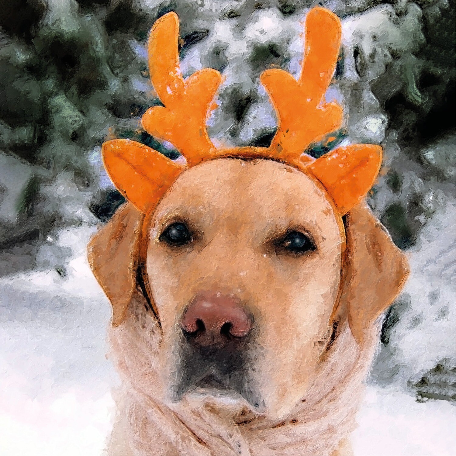 Who needs Rudolph
