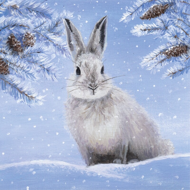 Snow Hare