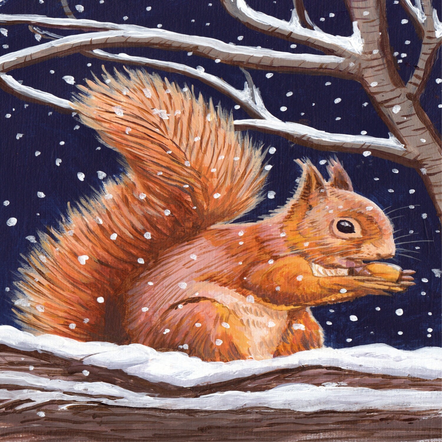Squirrel