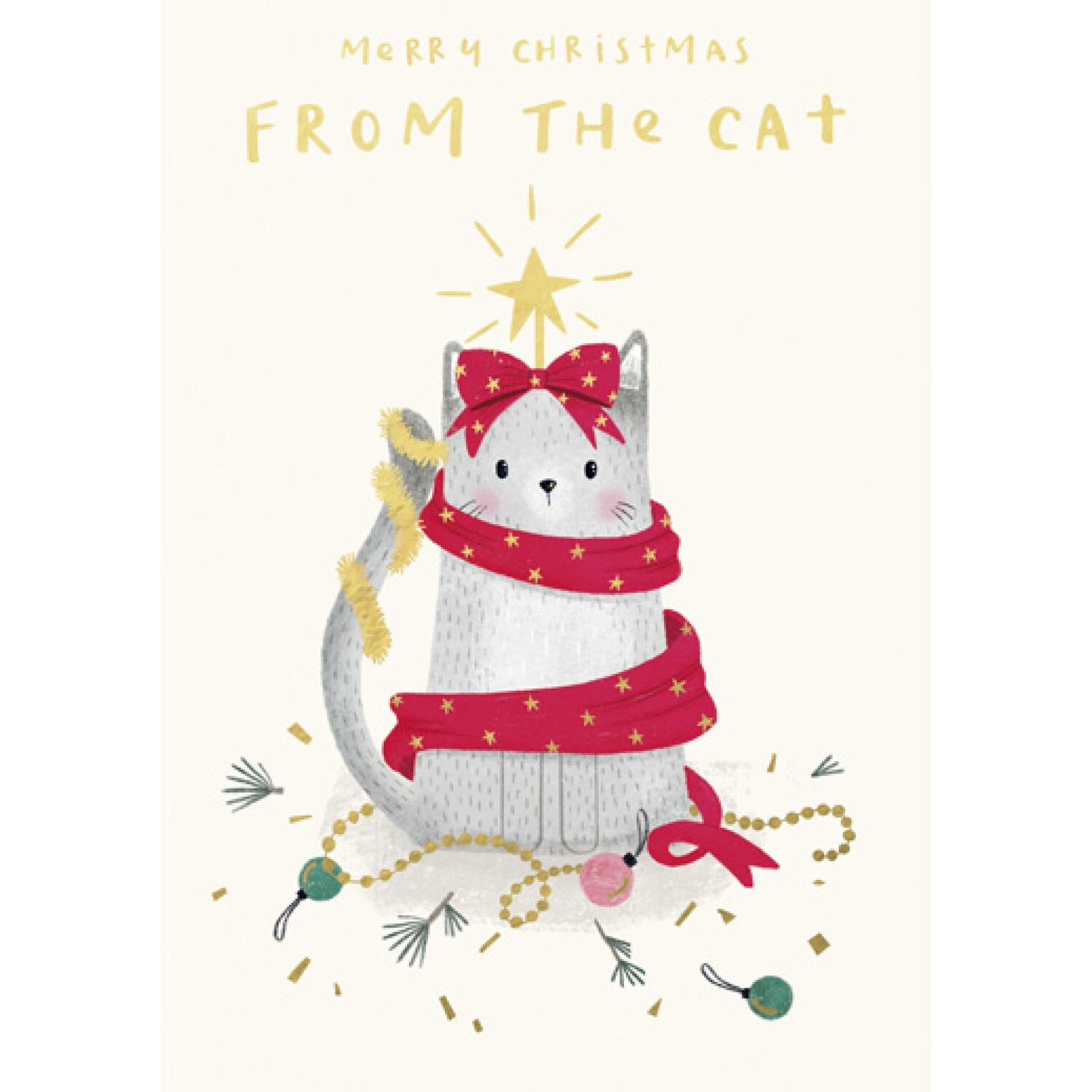 From the Cat
