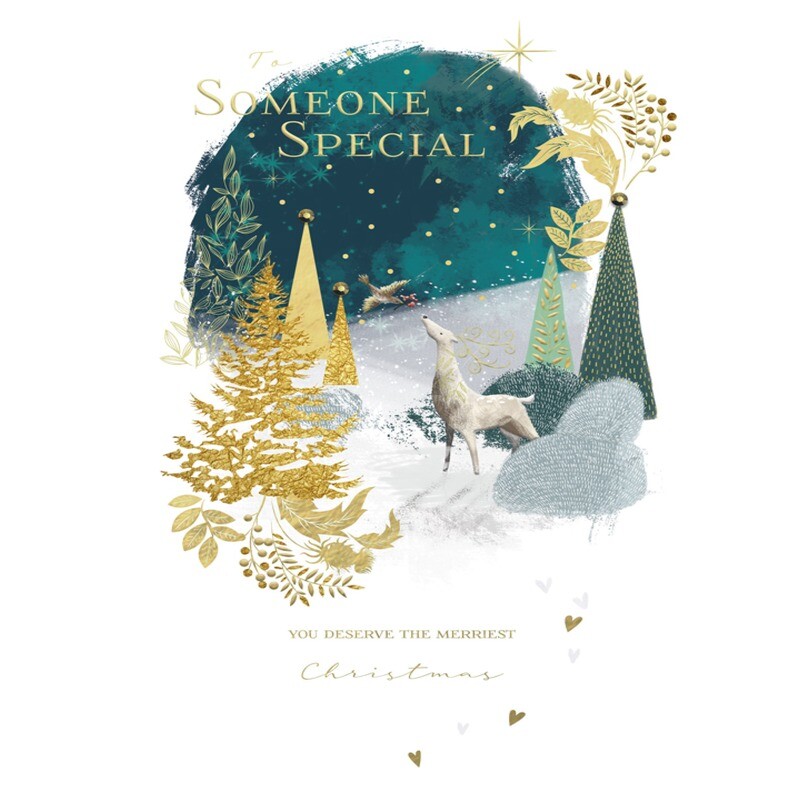 Someone Special