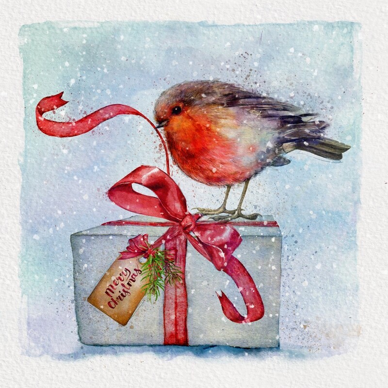 Robin Present