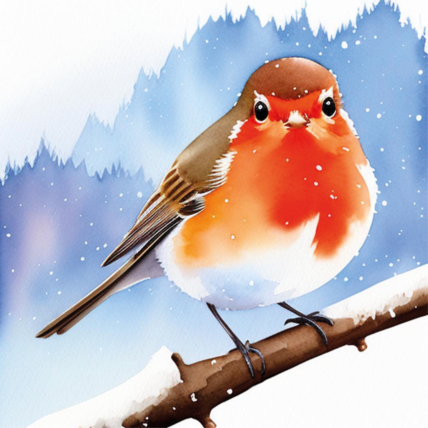 Robin Hello