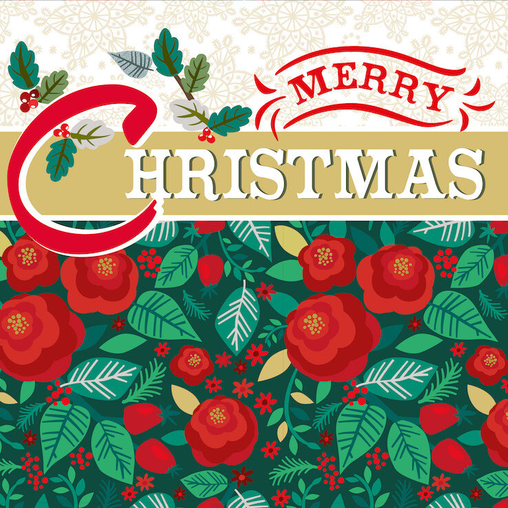 Merry Christmas Poinsettia