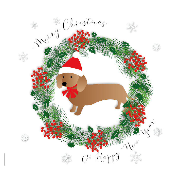 Merry Christmas Daschund