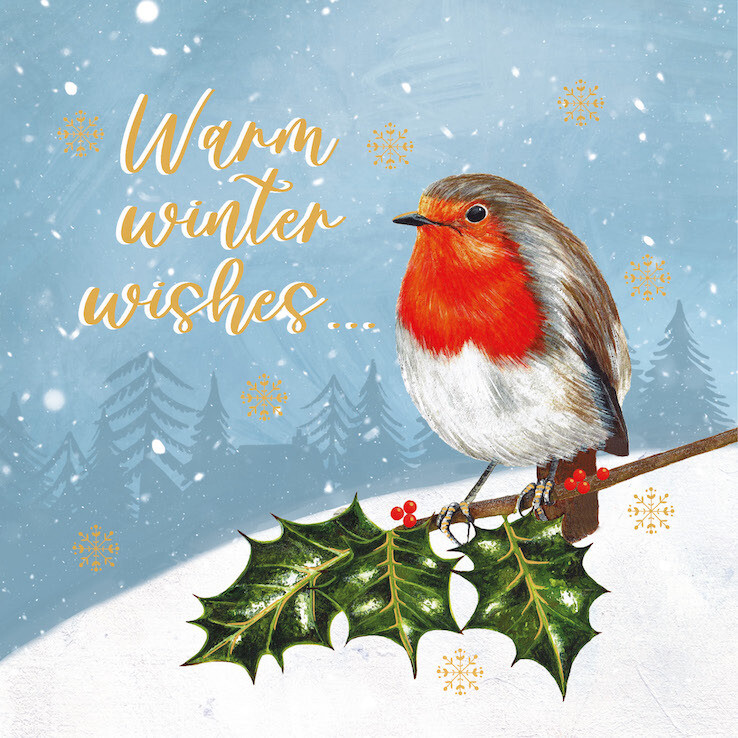 Warm Winter Wishes Robin