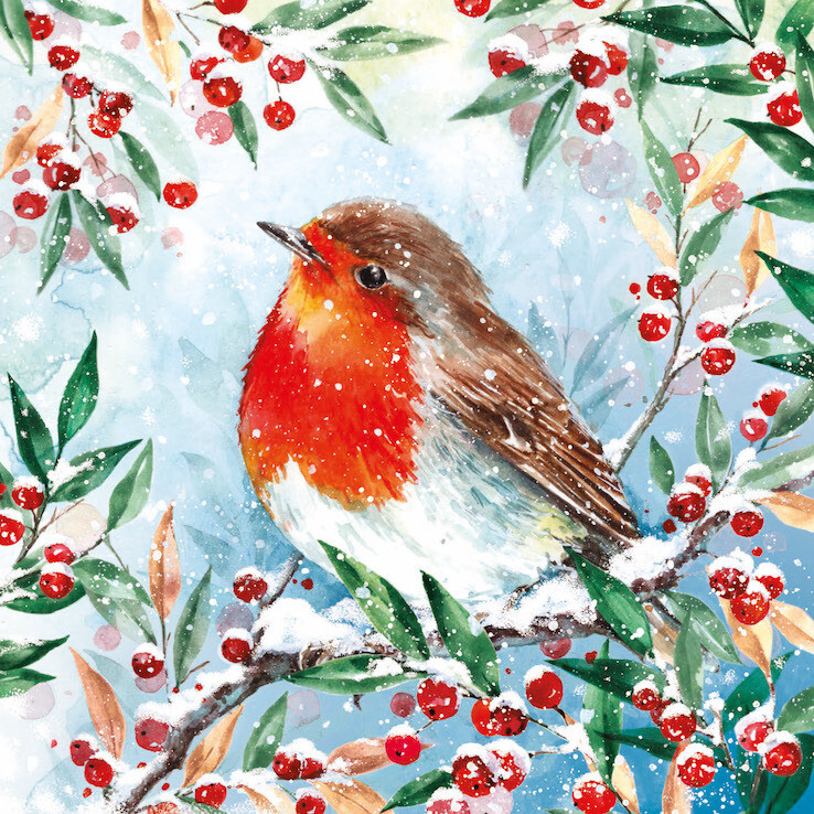 Painted Robin