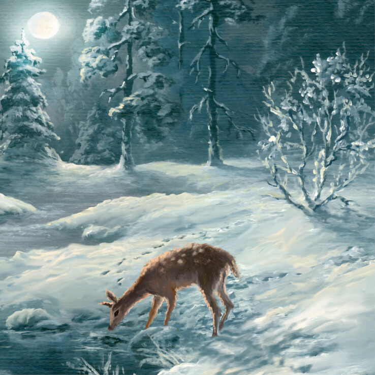 Midnight Forest