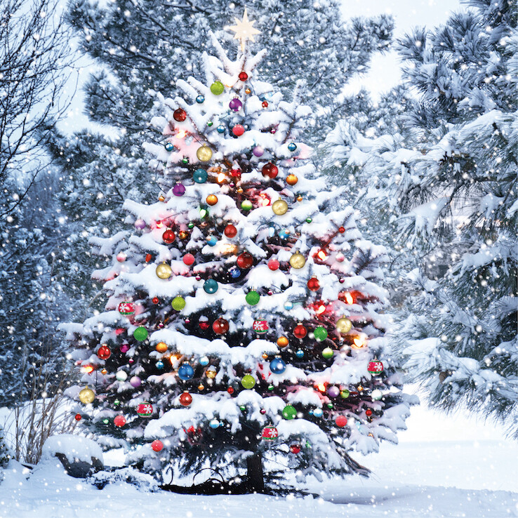 Baubles in the Woods
