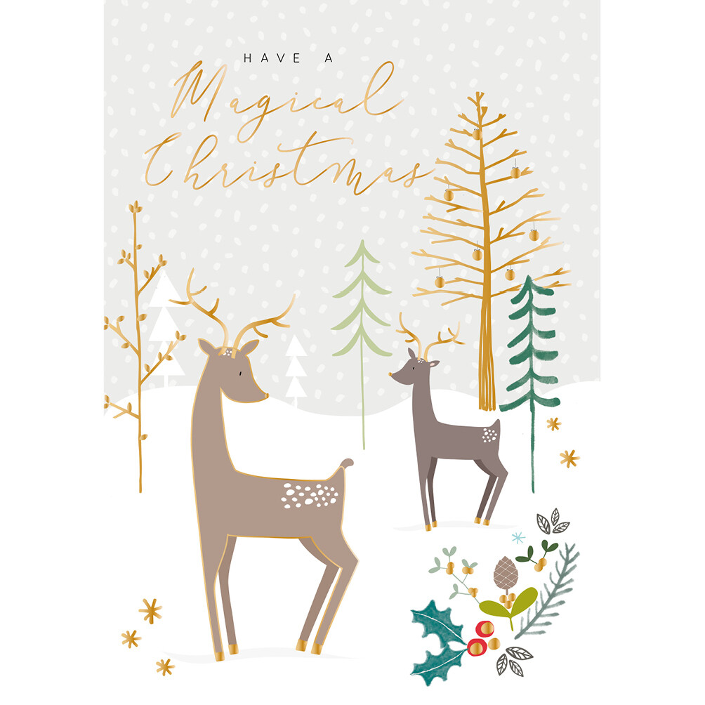 Magical Christmas