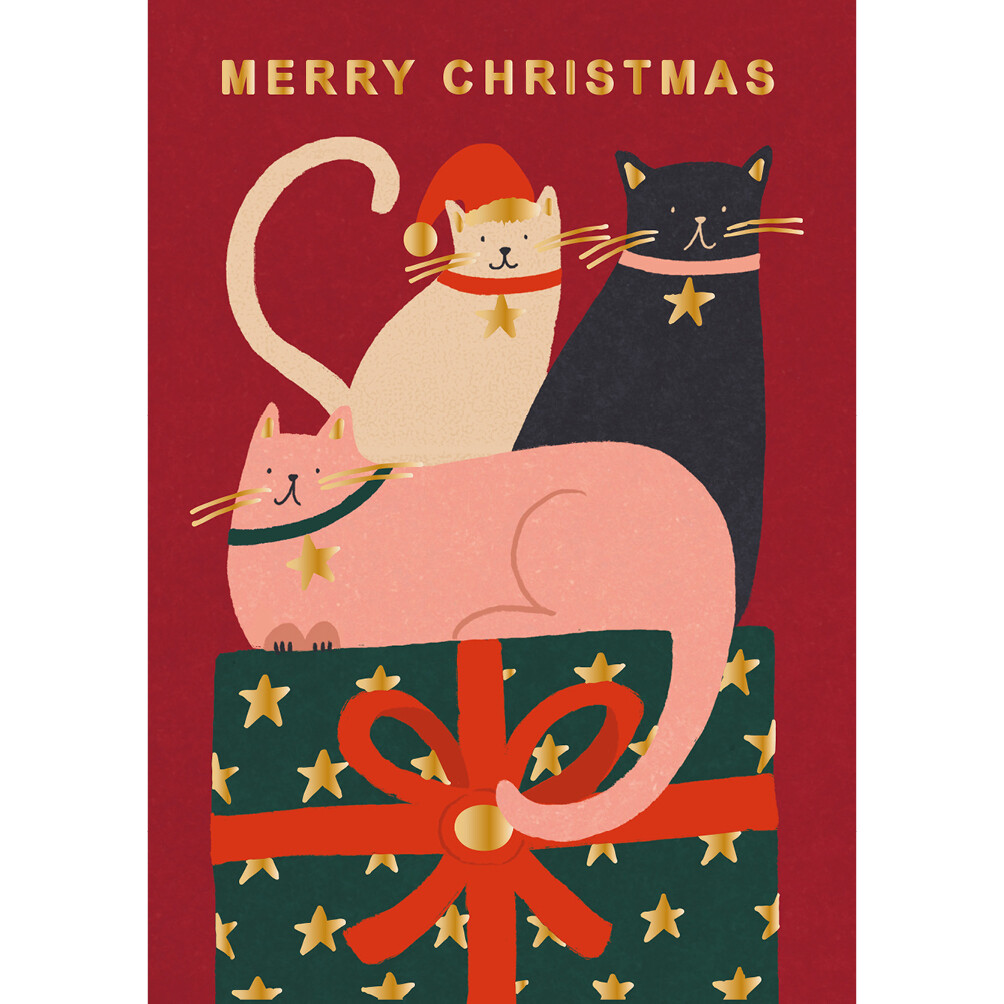 Feline like Christmas