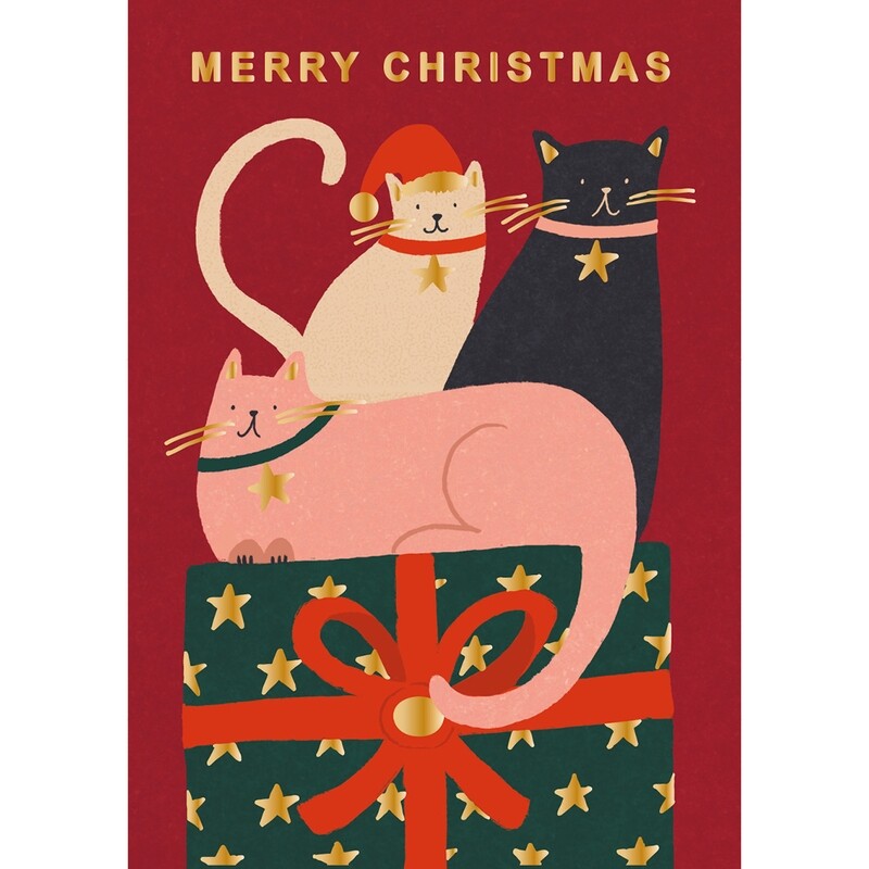 Feline like Christmas