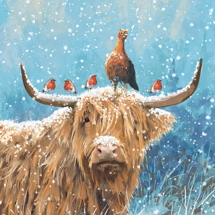 Scottish Highland Cow