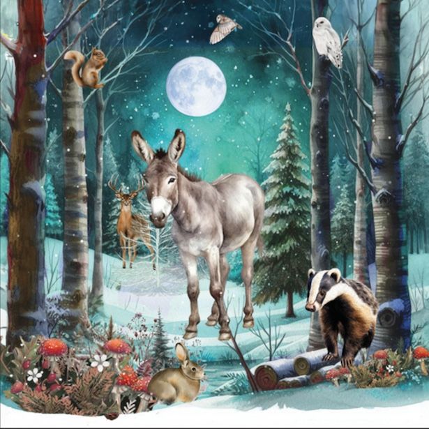 Woodland Wonders