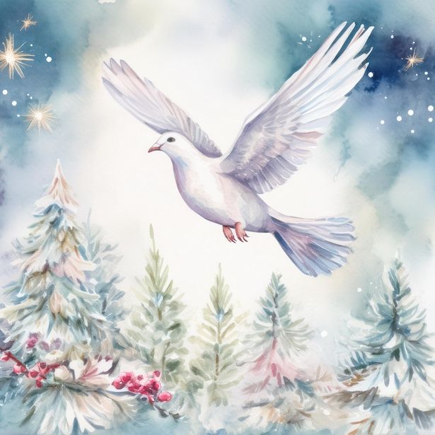 Forest Dove