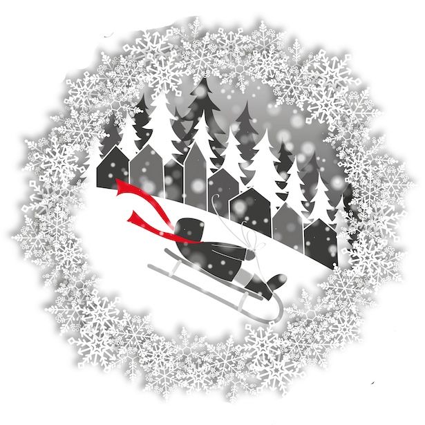 Sledging