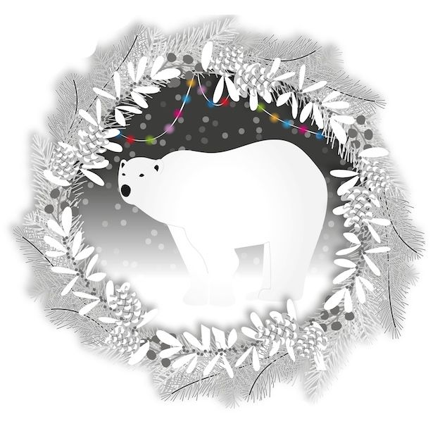 Polar Silhouette
